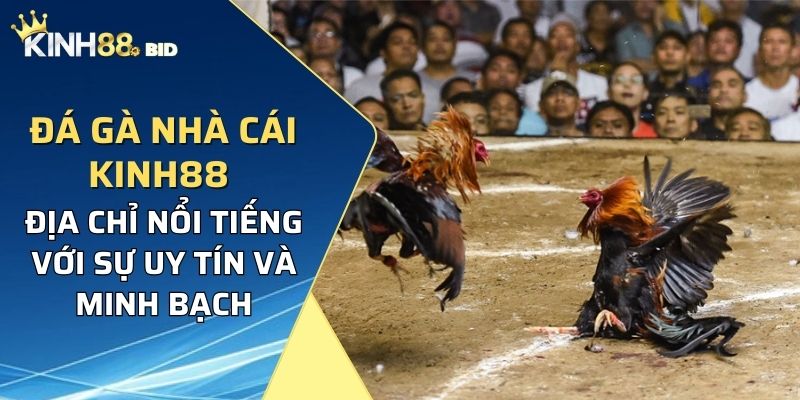 Địa chỉ nổi tiếng với sự uy tín và minh bạch