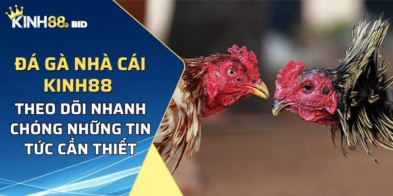 Cung cấp nhiều hình thức chơi hiệu quả