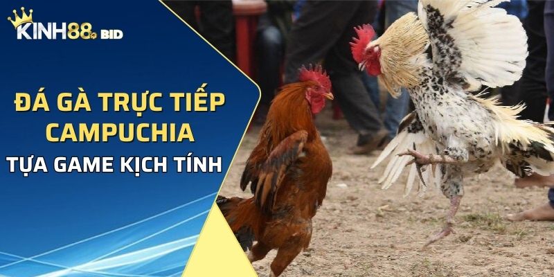 đá gà trực tiếp Campuchia