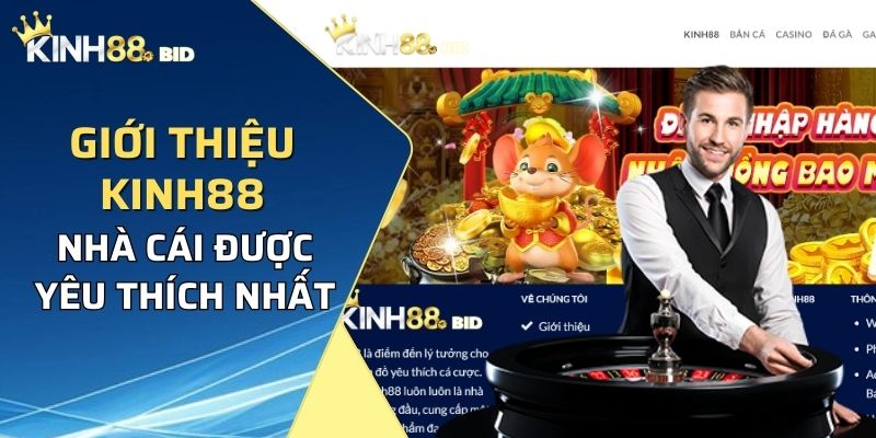 Giới thiệu Kinh88 - Nhà cái được yêu thích nhất hiện nay