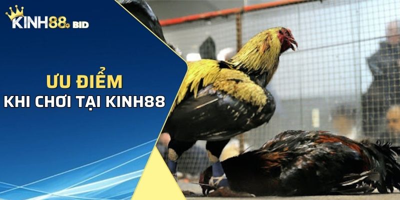 Ưu điểm khi chơi tại Kinh88